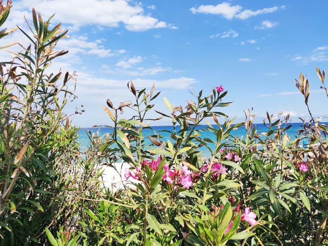 Overlookingsea Lido di Noto Εξωτερικό φωτογραφία